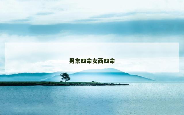 男东四命女西四命
