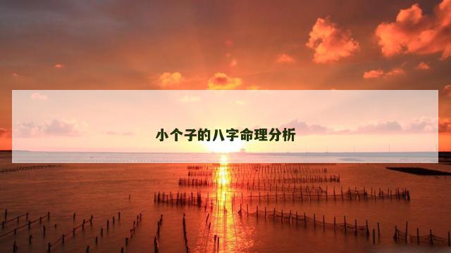 小个子的八字命理分析