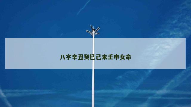 八字辛丑癸巳已未壬申女命