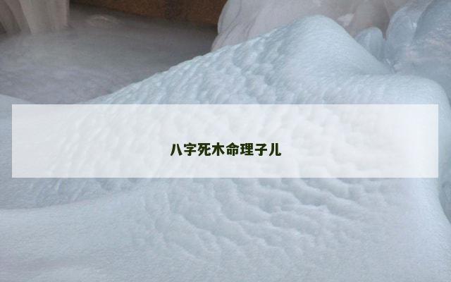 八字死木命理子儿