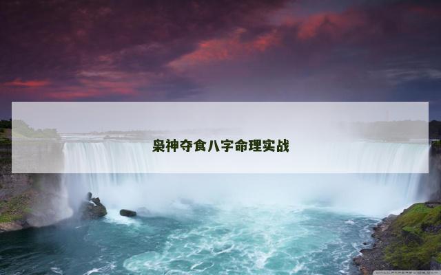 枭神夺食八字命理实战
