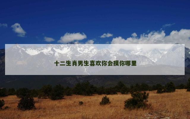 十二生肖男生喜欢你会摸你哪里