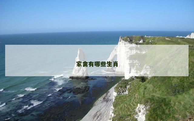 家禽有哪些生肖