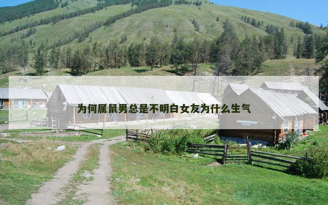 为何属鼠男总是不明白女友为什么生气