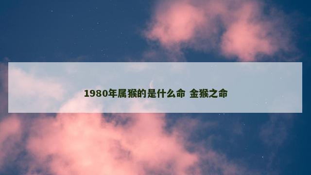 1980年属猴的是什么命 金猴之命