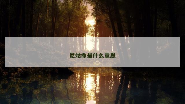 尼姑命是什么意思