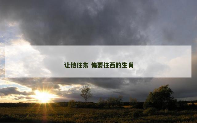 让他往东 偏要往西的生肖