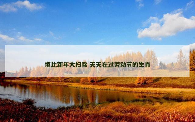 堪比新年大扫除 天天在过劳动节的生肖