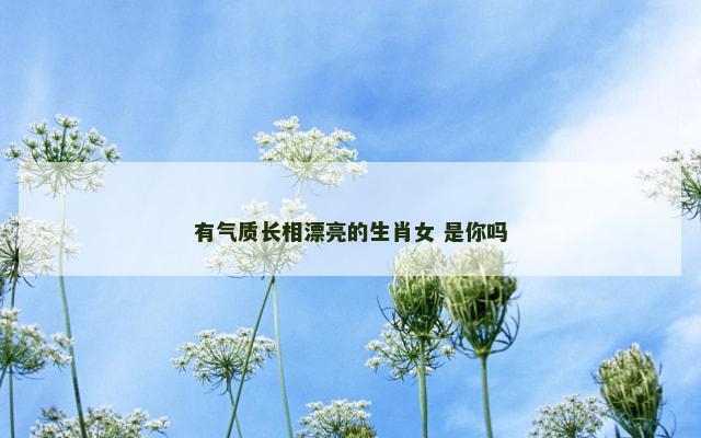 有气质长相漂亮的生肖女 是你吗