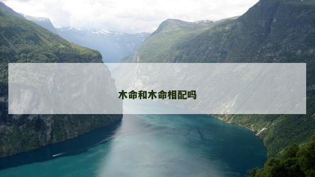 木命和木命相配吗