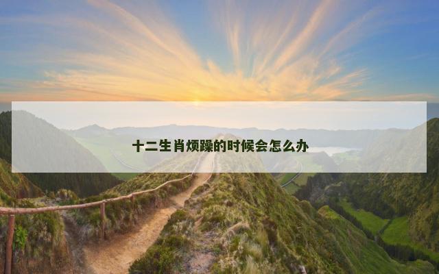 十二生肖烦躁的时候会怎么办