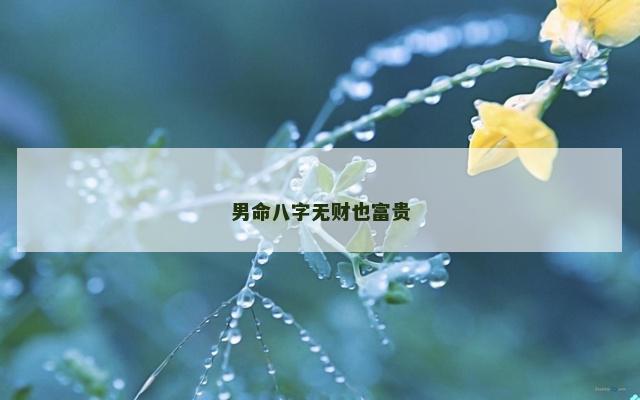男命八字无财也富贵