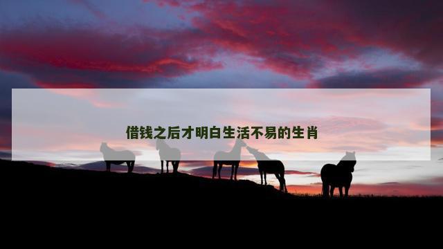 借钱之后才明白生活不易的生肖