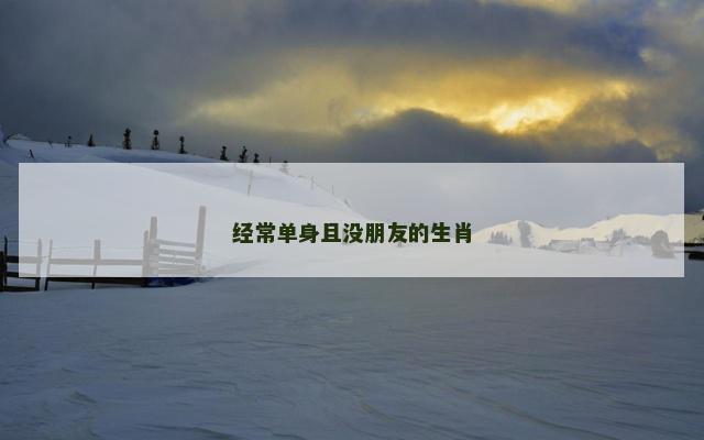 经常单身且没朋友的生肖
