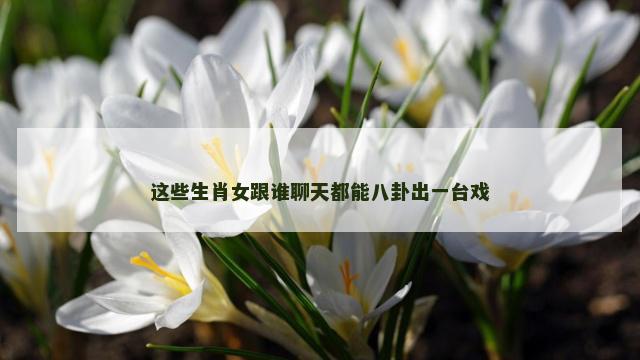 这些生肖女跟谁聊天都能八卦出一台戏