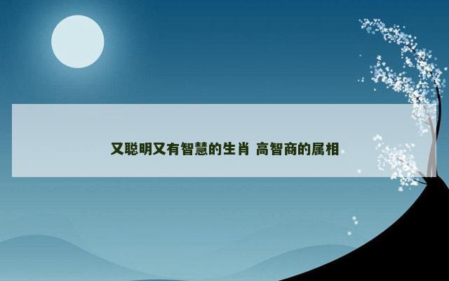 又聪明又有智慧的生肖 高智商的属相