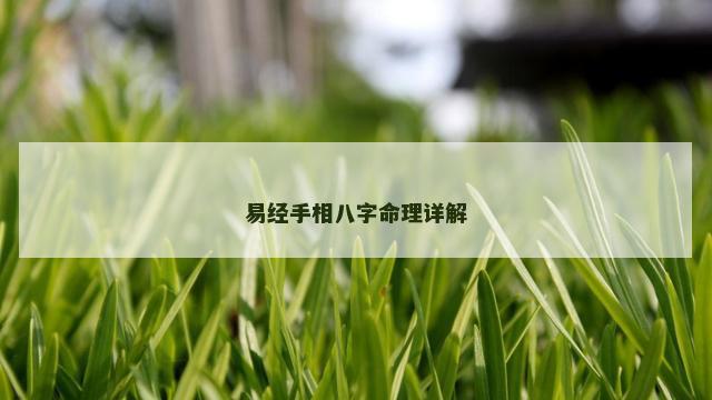 易经手相八字命理详解 易经手相八字命理详解