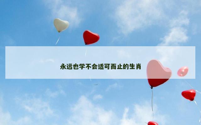 永远也学不会适可而止的生肖 永远也学不会适可而止的生肖