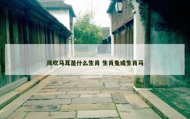 风吹马耳是什么生肖 生肖兔或生肖马