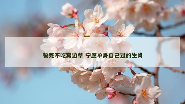 誓死不吃窝边草 宁愿单身自己过的生肖 誓死不吃窝边草 宁愿单身自己过的生肖