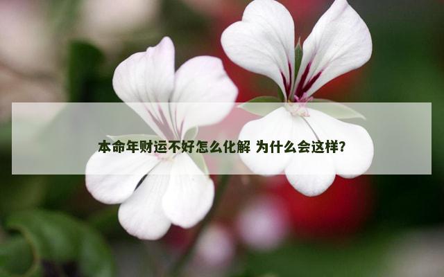 本命年财运不好怎么化解 为什么会这样? 本命年财运不好怎么化解 为什么会这样?