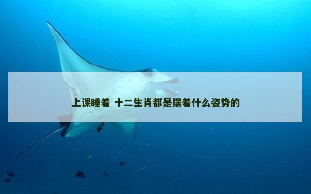 上课睡着 十二生肖都是摆着什么姿势的 上课睡着 十二生肖都是摆着什么姿势的
