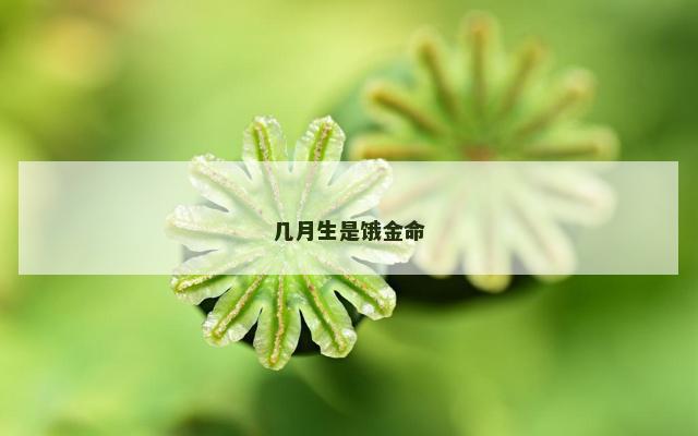 几月生是饿金命 几月生是饿金命