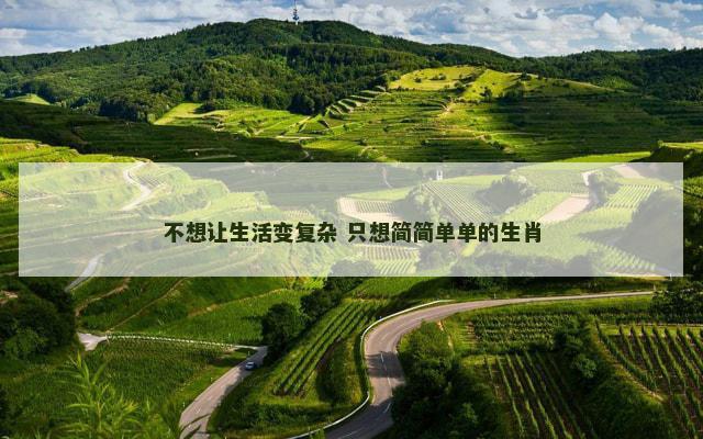 不想让生活变复杂 只想简简单单的生肖 不想让生活变复杂 只想简简单单的生肖