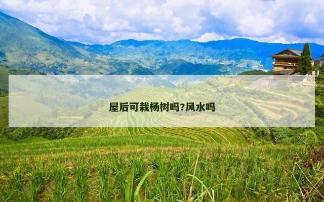屋后可栽杨树吗?风水吗 屋后可栽杨树吗?风水吗