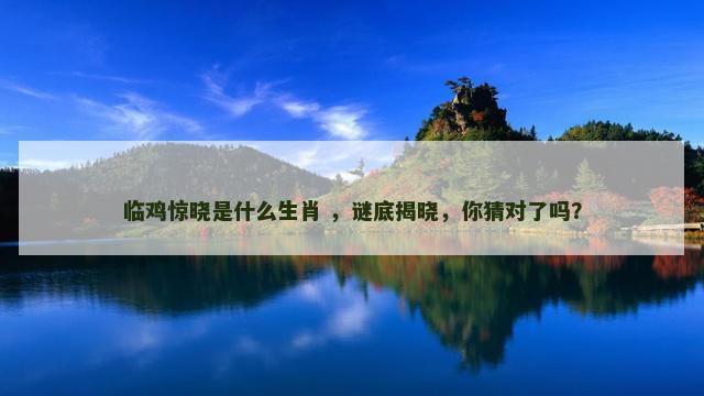 临鸡惊晓是什么生肖 ,谜底揭晓,你猜对了吗? 临鸡惊晓是什么生肖 ,谜底揭晓,你猜对了吗?