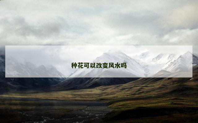 种花可以改变风水吗 种花可以改变风水吗