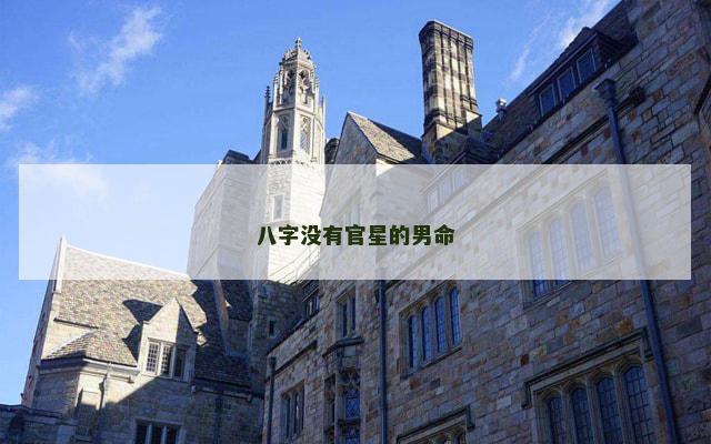 八字没有官星的男命