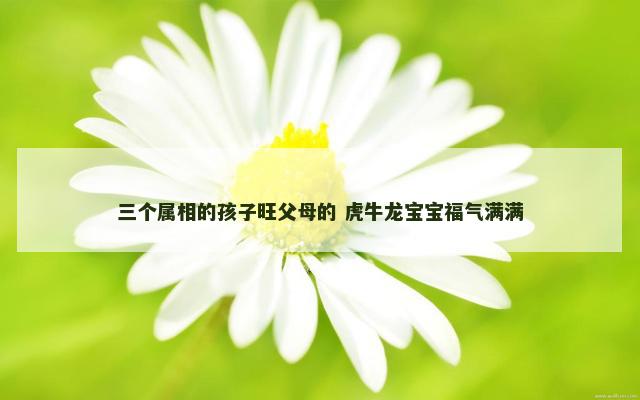 三个属相的孩子旺父母的 虎牛龙宝宝福气满满