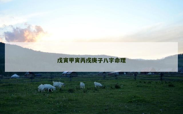 戊寅甲寅丙戌庚子八字命理