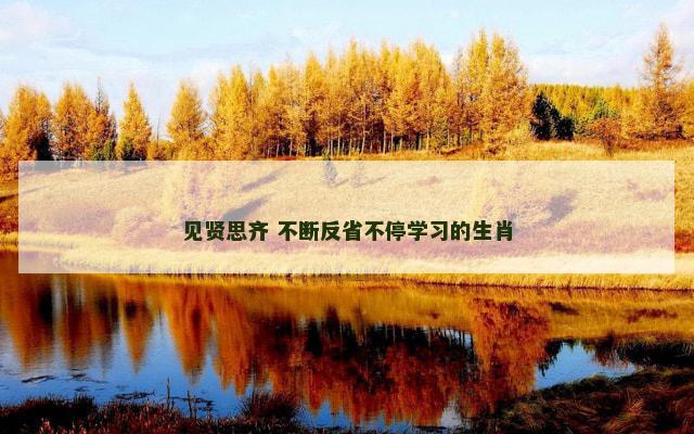 见贤思齐 不断反省不停学习的生肖