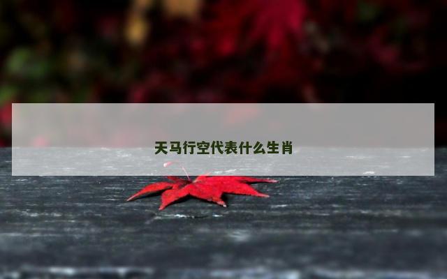 天马行空代表什么生肖