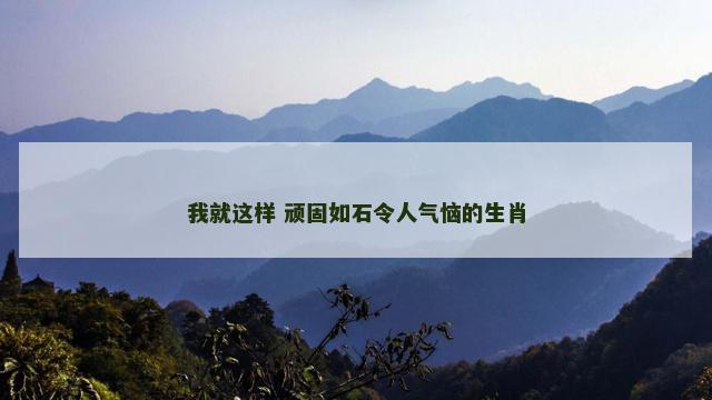 我就这样 顽固如石令人气恼的生肖