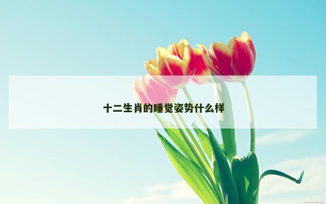 十二生肖的睡觉姿势什么样 十二生肖的睡觉姿势什么样