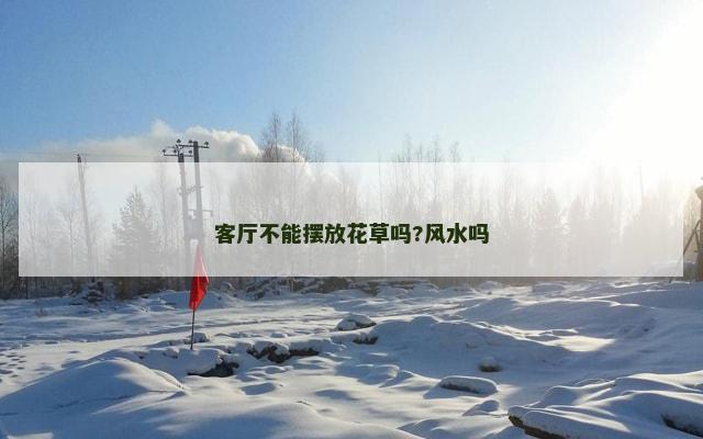 客厅不能摆放花草吗?风水吗