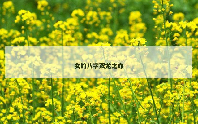 女的八字双龙之命