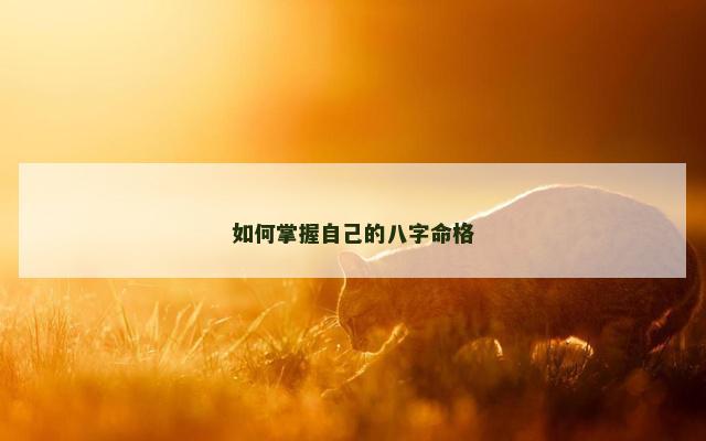 如何掌握自己的八字命格