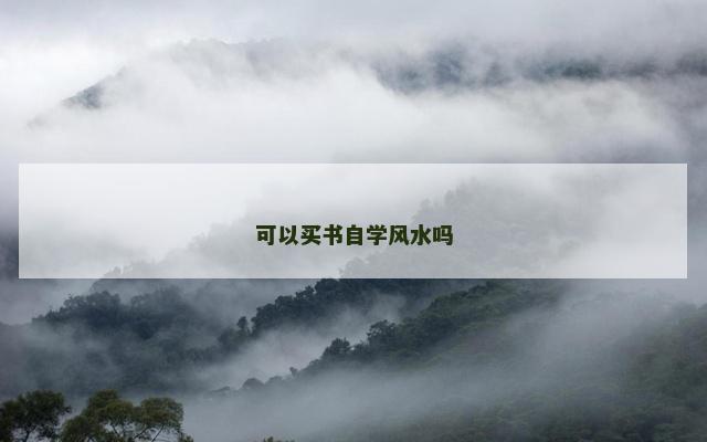 可以买书自学风水吗