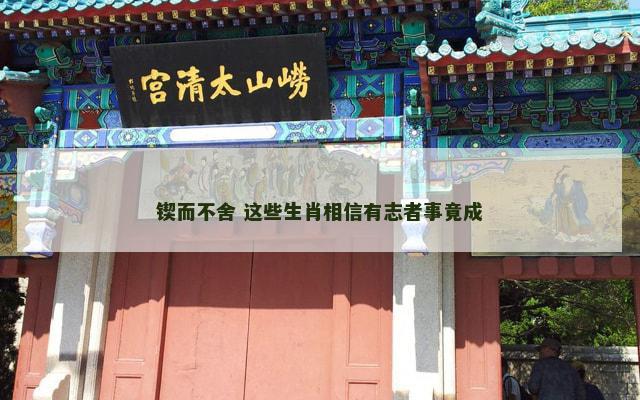 锲而不舍 这些生肖相信有志者事竟成