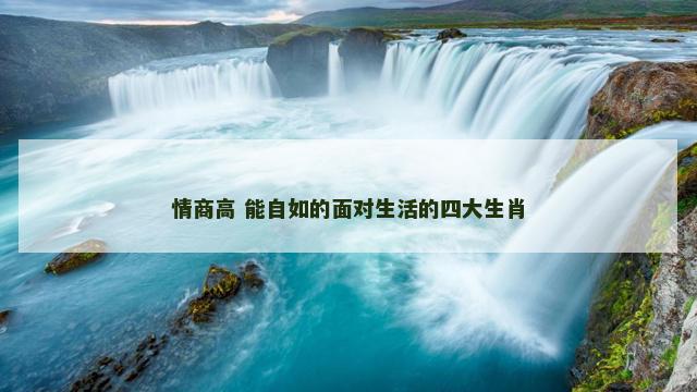 情商高 能自如的面对生活的四大生肖
