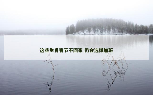 这些生肖春节不回家 仍会选择加班