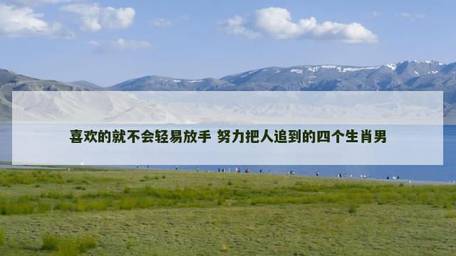 喜欢的就不会轻易放手 努力把人追到的四个生肖男