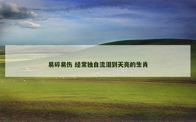易碎易伤 经常独自流泪到天亮的生肖