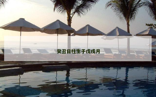 癸丑日柱生于戊戌月