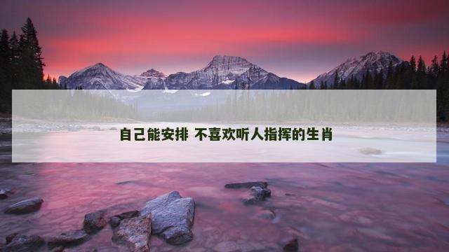 自己能安排 不喜欢听人指挥的生肖
