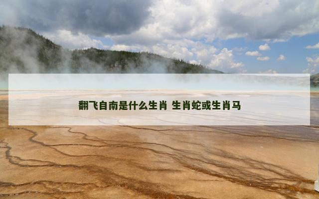 翻飞自南是什么生肖 生肖蛇或生肖马